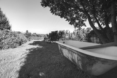 Wild bath_4875886017_l.jpg